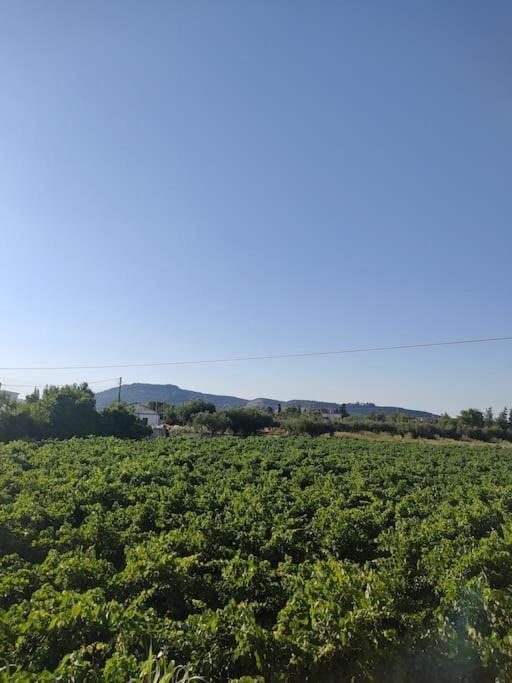 Vila Casa Dei Fiori Sarakinádhon Exteriér fotografie